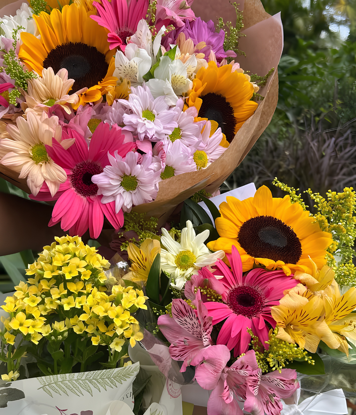 Flores e plantas no jardim